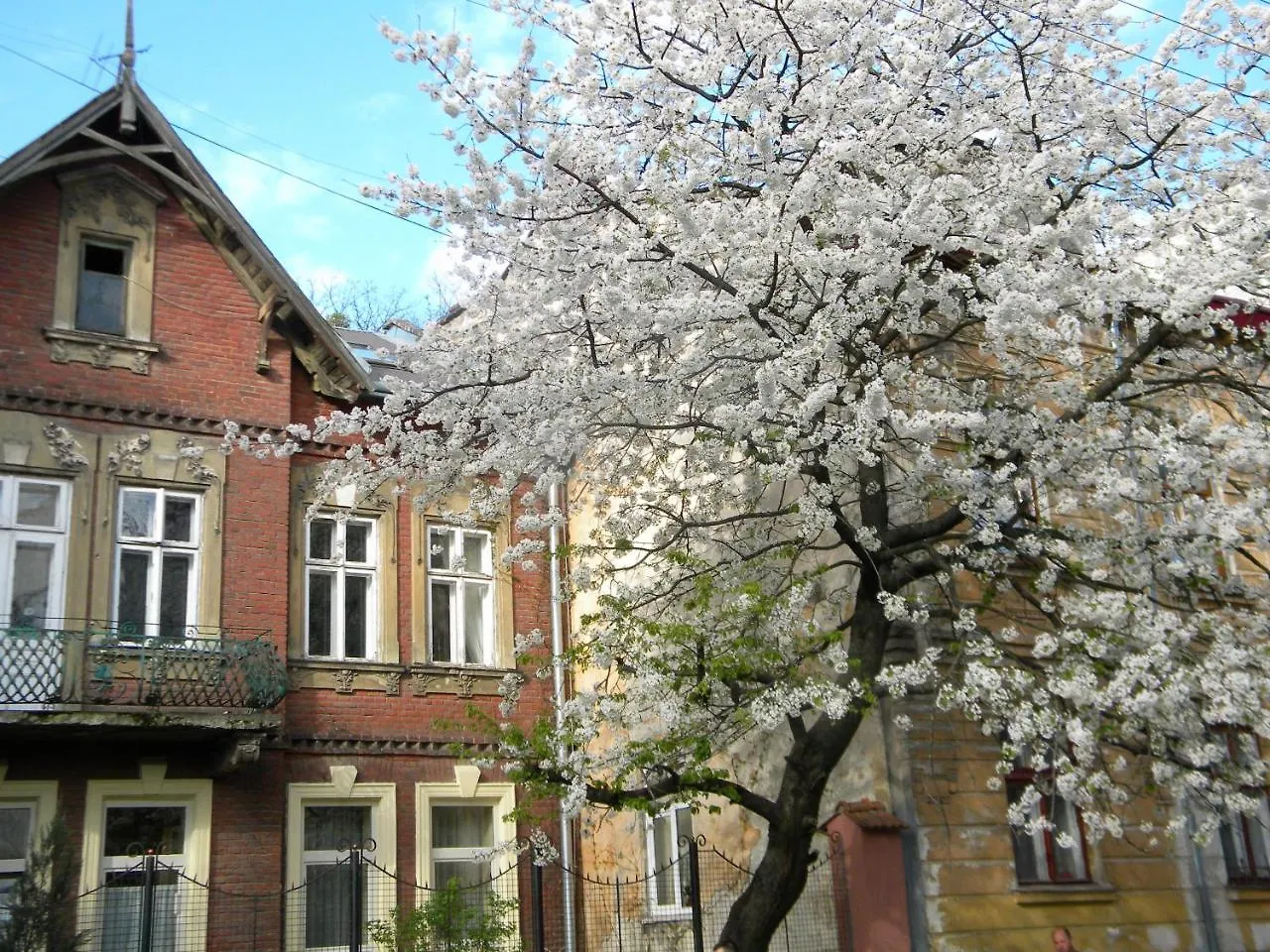 Studios At Anchevskih 3 Львов